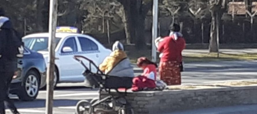 Prezantim i rezultateve nga hulumtimi për gjendjen me fëmijët në rrugë