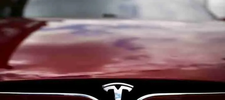 Musk paralajmëron risi, tash secili mund të bëhet me Tesla