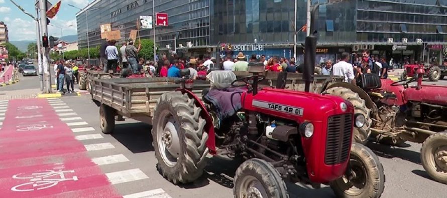 Kultivuesit e domateve në Strumicë kërkojnë rritjen e çmimit me shumicë