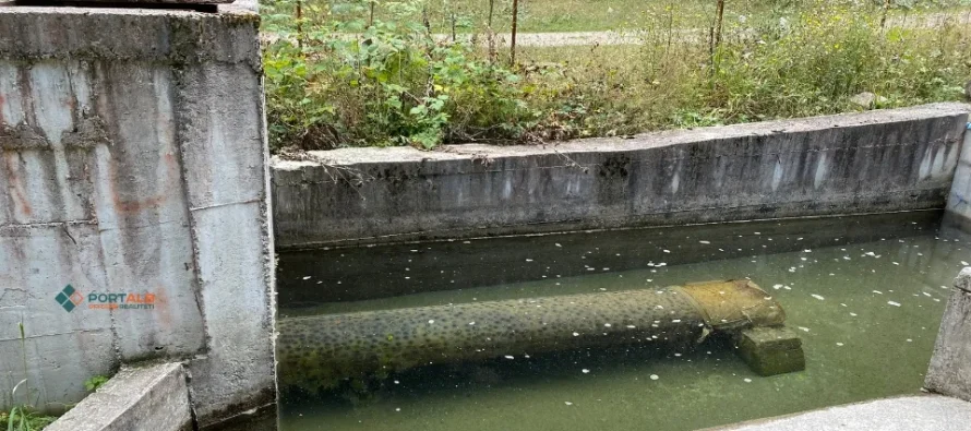 Në Maqedoninë e Veriut vetëm 12.3 përqind e ujërave të ndotur janë pastruar, ndërsa përdorimi i ujit ka shënuar rritje