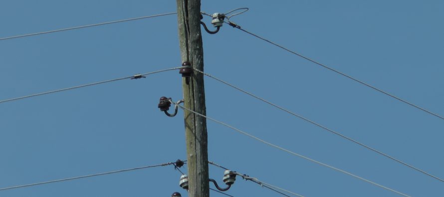 Zjarr në një shtyllë të rrjetit elektrik në rrethinë të Tetovës
