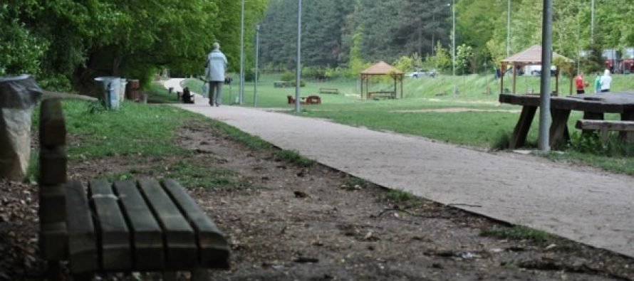 Shkencëtarët zbulojnë pse ndihemi mirë kur shikojmë gjelbërimin