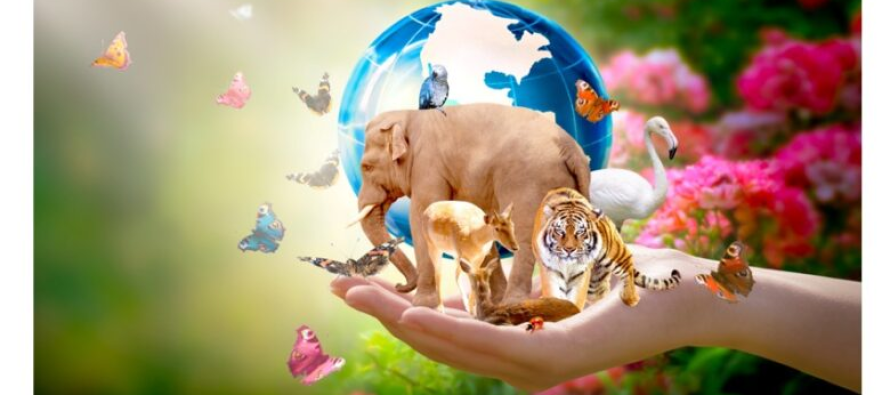 Dita Botërore e Biodiversitetit