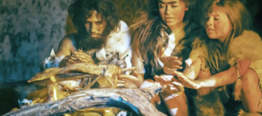 ‘Discover’: Si i krijonte lidhjet familjare, një specie e lashtë njerëzore
