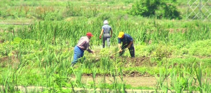 Numri i fermerëve të rinj, në rënie, autoritetet: Nevojitet digjitalizim i bujqësisë