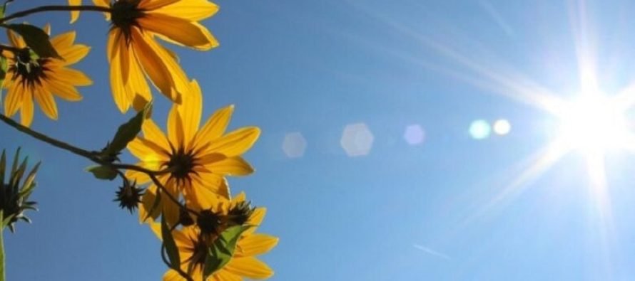 DPHM: Temperatura më të larta në Maqedoni nga java e ardhshme