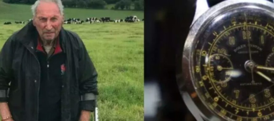 Besonte se lopa ia kishte ngrënë orën, Rolex i fermerit britanik shfaqet 50 vjet më vonë