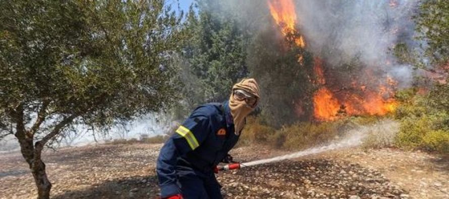 I nxehti ekstrem ”nikoqir” i zjarreve – brenda 6 muajsh vendi regjistroi mbi 1000 zjarre