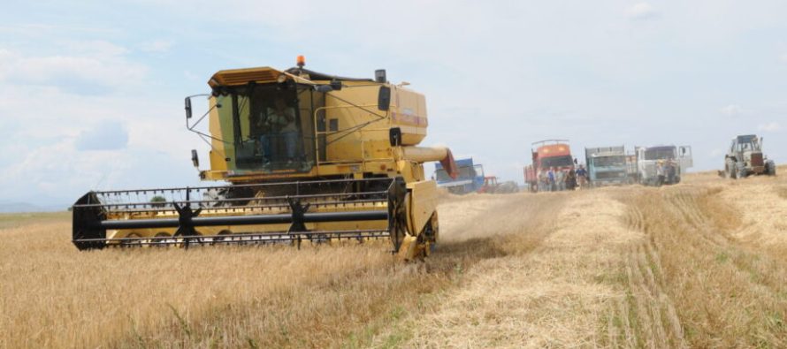 Nga seanca qeveritare: 600 milionë denarë për pagesa të ngecura direkte për bujqit