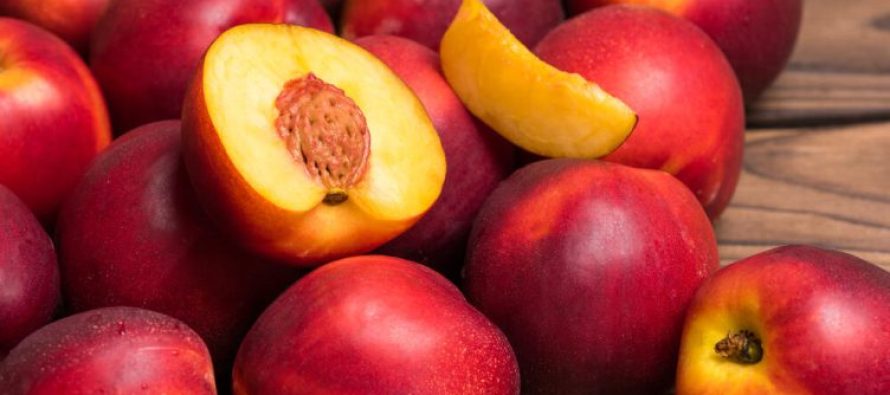 Pjeshkët apo nektarinat, cilat janë më të mira? Zbuloni përfitimet e dy fruteve të verës