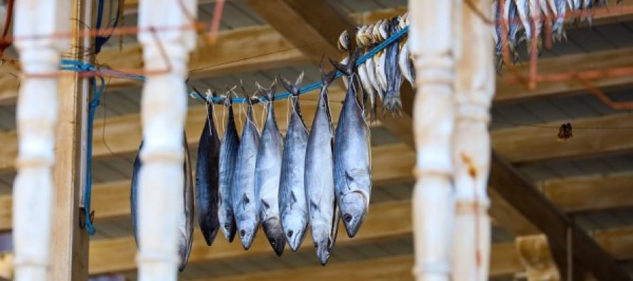 Pronarët rusë të pronave për pushime në bregdetin bullgar zvogëlohen