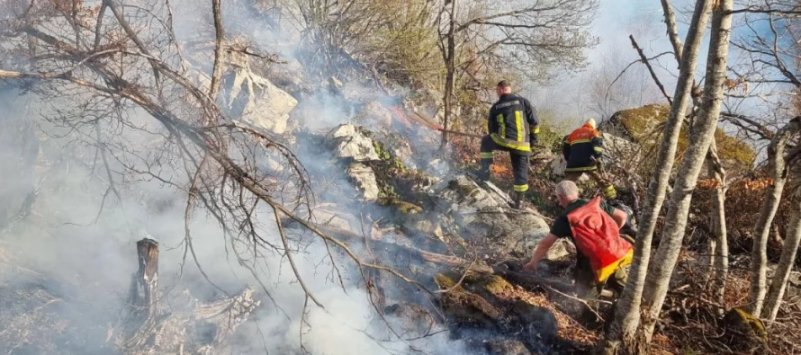 Qeveria e Maqedonisë së Veriut do të kthejë në punë dy pilotët e pensionuar për shuarjen e zjarrit