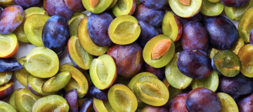 Kumbullat – fruti i shëndetit për zorrët dhe metabolizmin