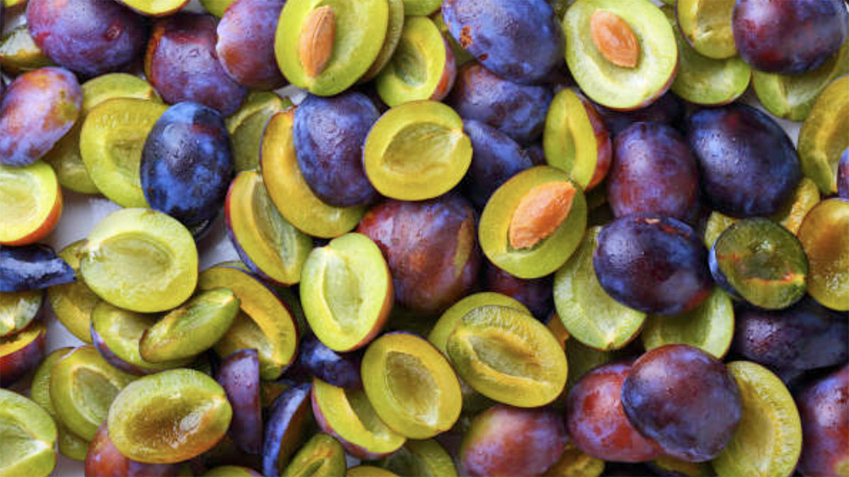 Kumbullat   fruti i shëndetit për zorrët dhe metabolizmin