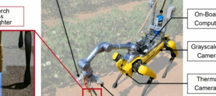 Një ekip shkencëtarësh kanë konfiguruar një robot për të kërkuar dhe “bllokuar rritjen” e barërave të këqija