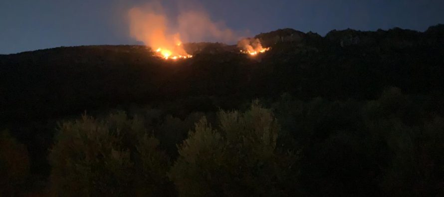 Tjetër vatër zjarri në Lezhë, digjet një pjesë e malit në Torovicë