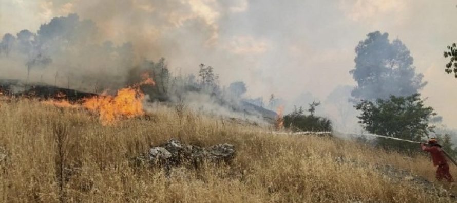 Situata e zjarreve në Shqipëri, Peleshi: Shuhen 11 vatra, 3 ende aktive