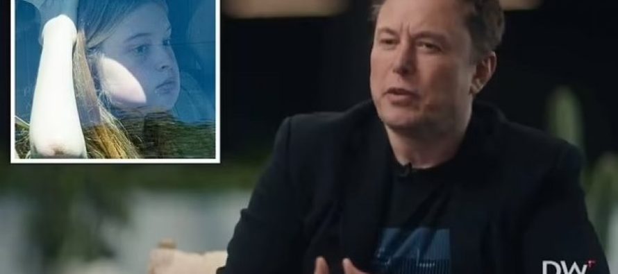 Elon Musk: Jam zotuar të shkatërroj virusin majtist pas kësaj dhe po bëjmë progres