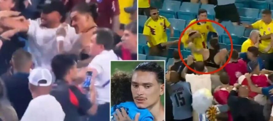 VIDEO / Shikoni se si Darwin Nunez rrihet me tifozat e Kolumbisë në tribuna