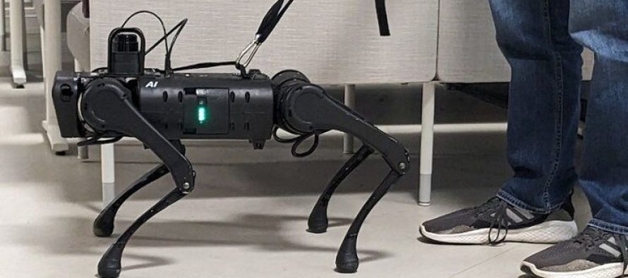 “Qeni udhërrëfyes” robotik i Kinës mund të ndihmojë personat me shikim të dëmtuar