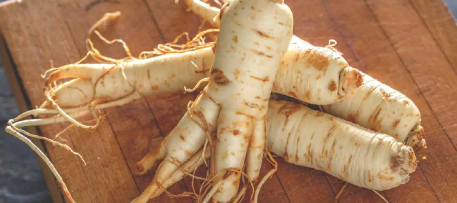 Mbillni xhensen sot për të qenë i pasur në një dekadë