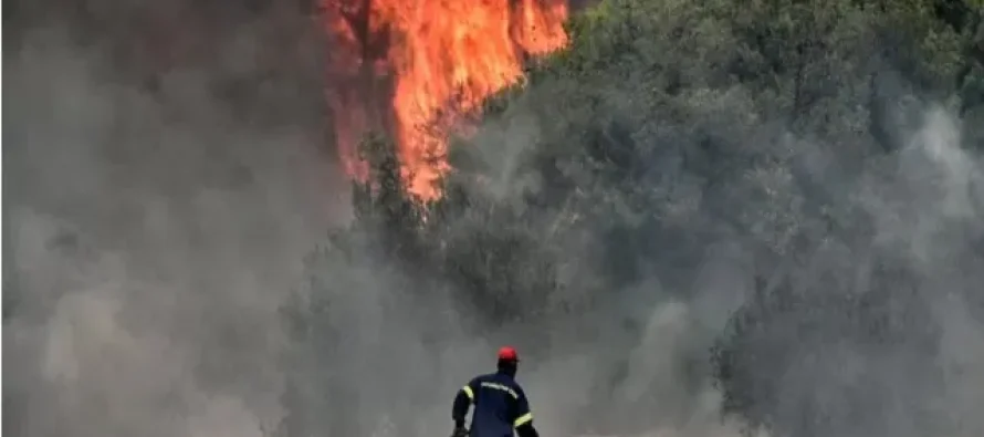 Zjarr i madh në malin Ograzhden, po i afrohet kufirit me Bullgarinë