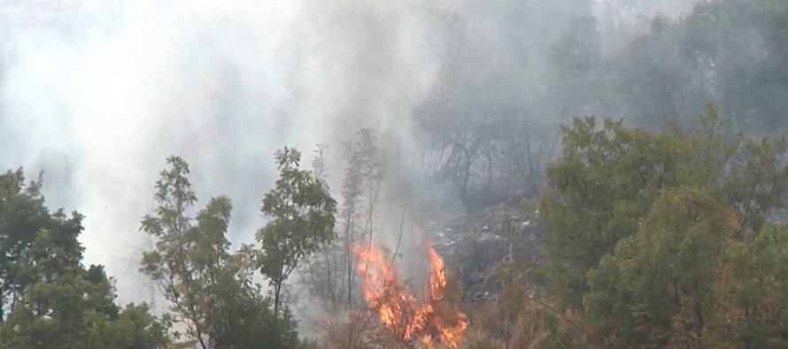 Nëntë zjarre aktive, më i madhi në territorin e Komunës së Makedonski Brodit, shuhet edhe me helikopterë