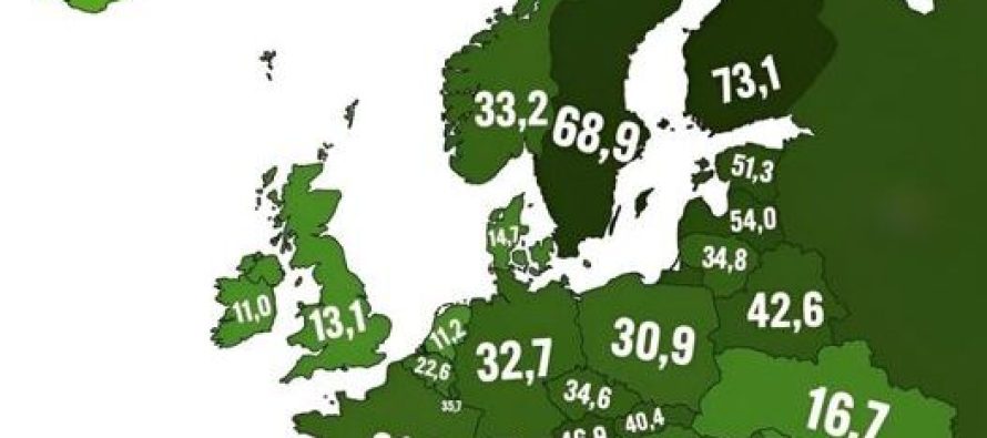 Pyjet e prera të Shqipërisë