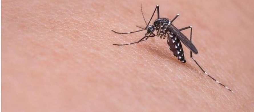 Greqi, shkon në 8 numri i të vdekurve nga virusi i ‘Nilit Perëndimor’