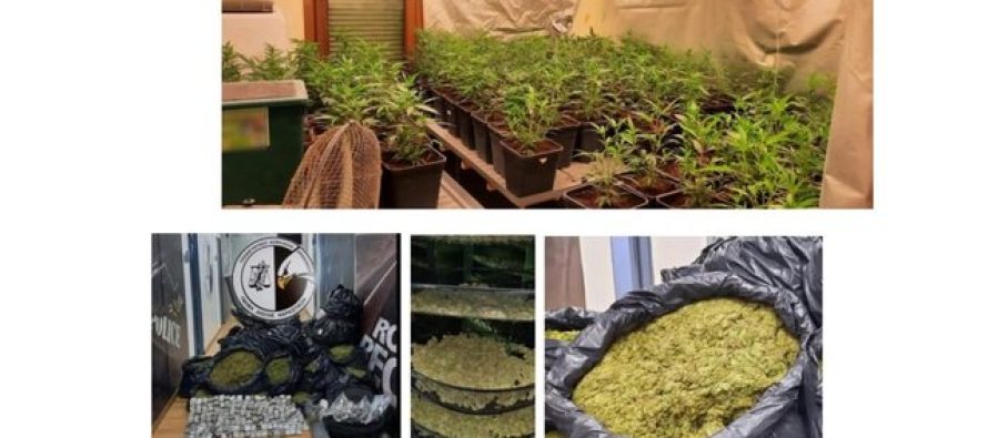 Raporti i antidrogës greke: Bie transporti i marijuanës nga Shqipëria