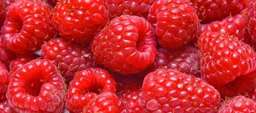 Tetë ushqimet më të shëndetshme që duhen ngrënë bashkë