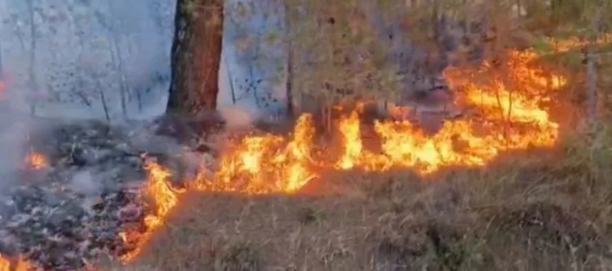 Vetëm në korrik janë regjistruar 620 zjarre 