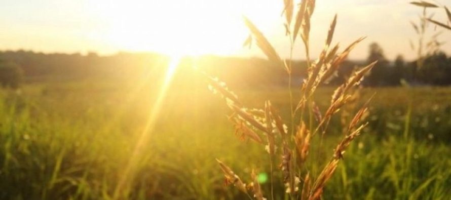 Vala e të nxehtit është drejt fundit – Ja kur pritet të ulen temperaturat