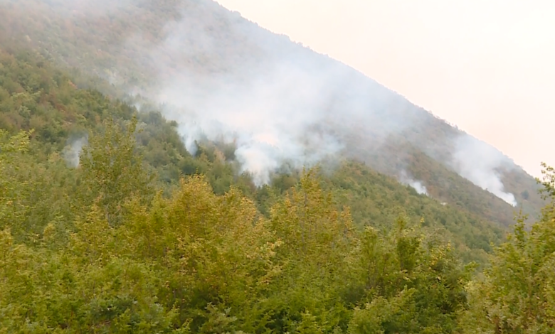 Zjarrfikësit vazhdojnë “betejën” me zjarret të cilat assesi të shuhen