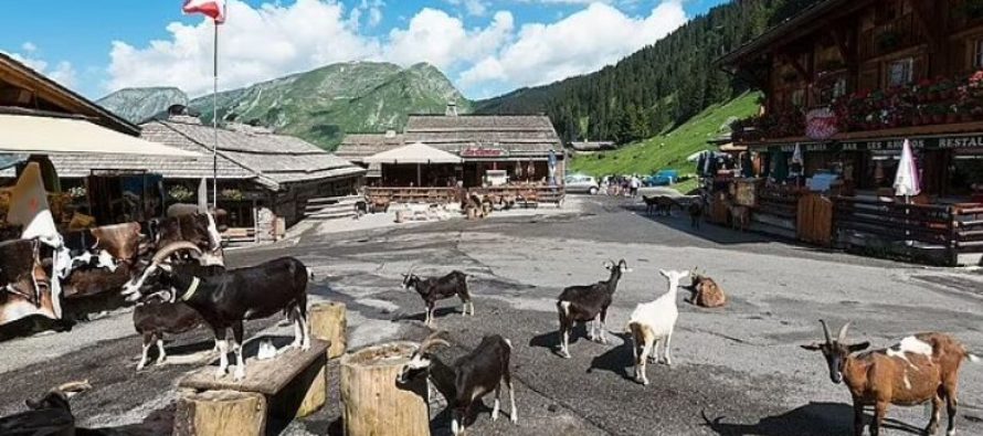 Keni dëgjuar për qytetin e dhive të Francës?