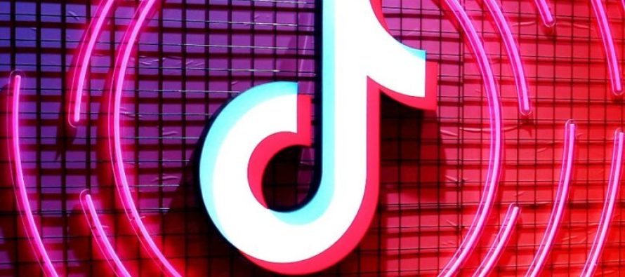 Risi, TikTok prezanton biseda në grup për 32 persona!