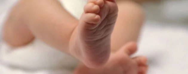 Mbi 161 mijë shtetas të Maqedonisë së Veriut jetojnë në Gjermani – 1.600 foshnja lindin atje brenda një viti