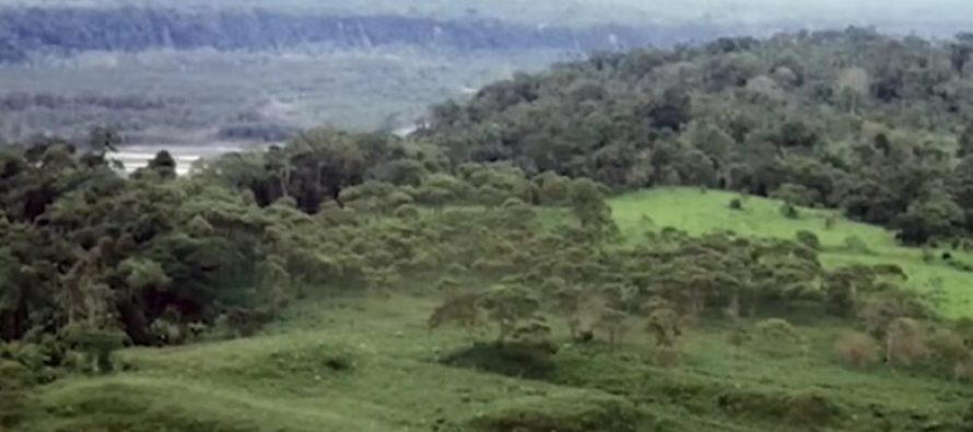 Në Amazonë është gjetur një qytet i madh antik i fshehur për mijëra vjet nga bimësia