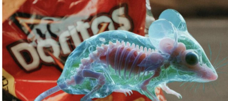 Përbërësit e patatinave “Doritos” kthejnë lëkurën e miut transparente