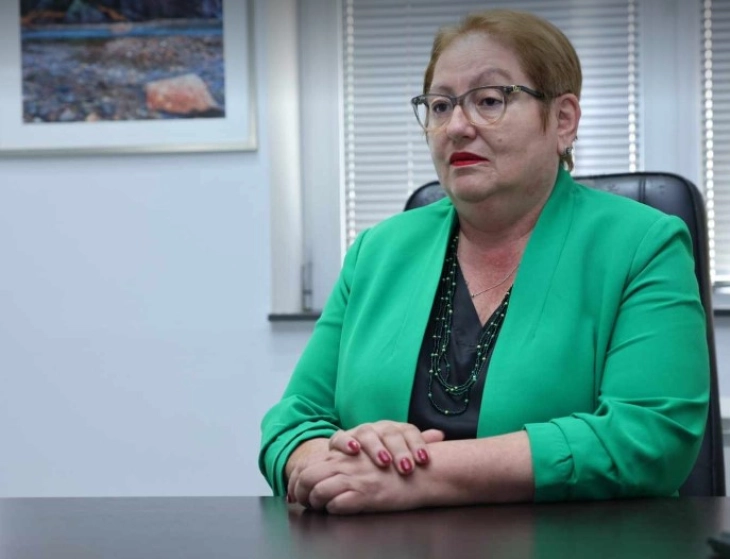 Janevska  Nuk do të anëtarësohemi në BE derisa të arrijmë të punojmë mbi të njëjtin parim si Unioni