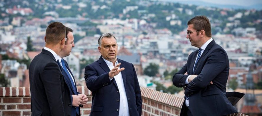 Borxhi nga Hungaria me procedurë të shkurtër