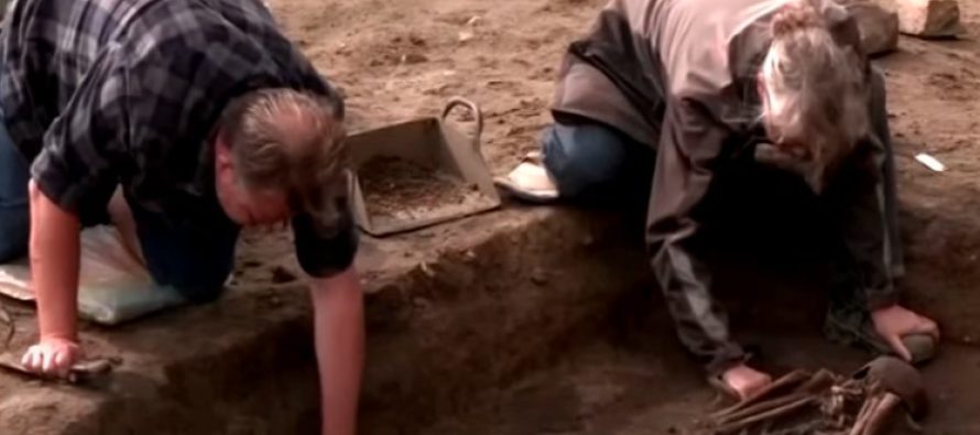 Arkeologët danezë zbuluan pesëdhjetë skelete nga epoka e vikingëve