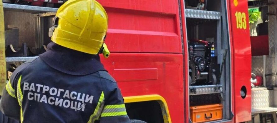 Zjarri i natës në Gazi Babë zbulon tragjedi: Gjendet trup i djegur në një nga magazinat