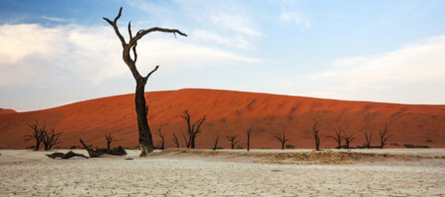Afrikë, rreth 118 milionë njerëz mund të ekspozohen ndaj efekteve të ndryshimeve klimatike deri në vitin 2030