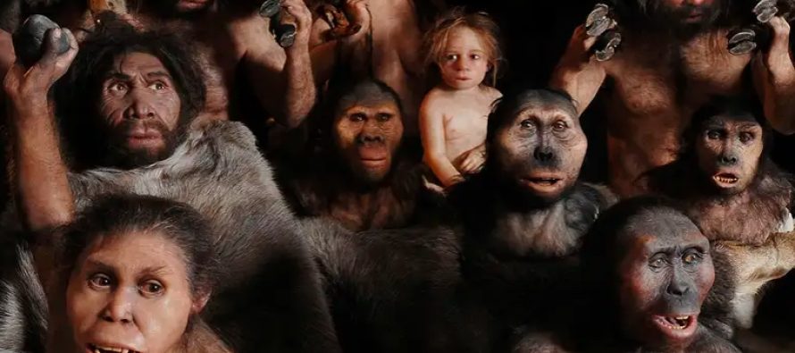 Si filloi gjuha dhe kur njerëzit e evoluan për herë të parë këtë aftësi