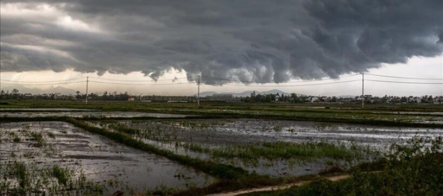 Vietnam, arrin në 87 numri i viktimave si pasojë e tajfunit “Yagi”
