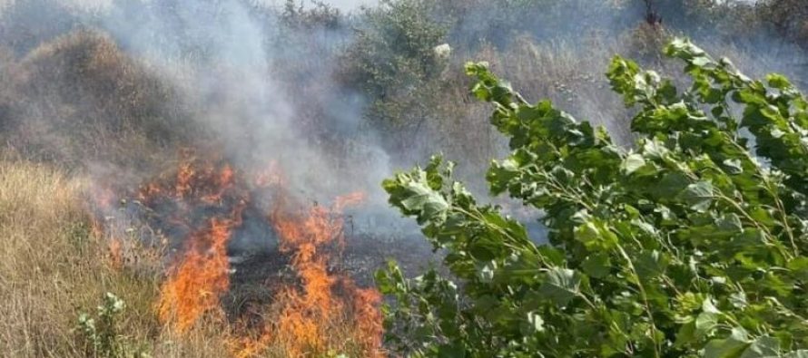 Gjithsej 24 zjarre në ambient të hapur ka regjistruar QMK gjatë ditës së sotme