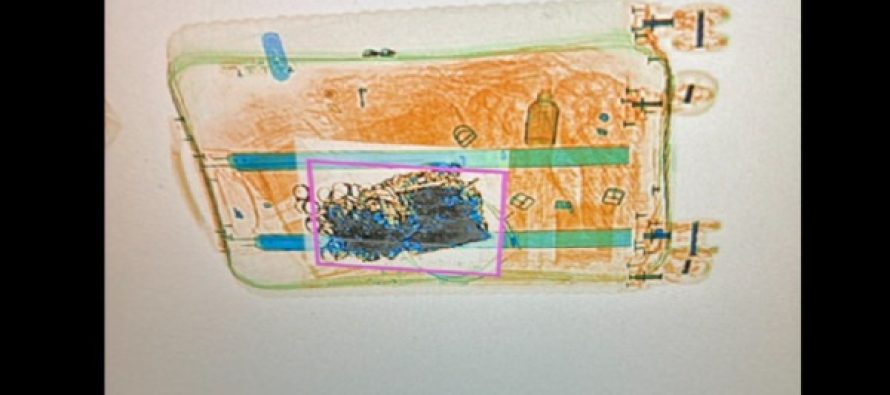 Kapen rreth një kilogram ari i padeklaruar në Aeroportin e Prishtinës