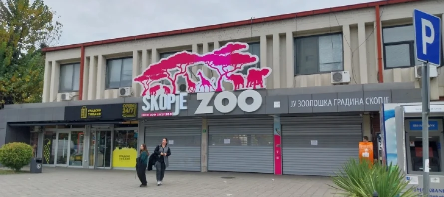 Të punësuarit në Kopshtin Zoologjik nuk janë të infektuar nga gripi i shpezëve