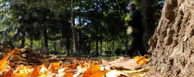 Mirë se vjen, vjeshtë! Stina e re nis sonte me rënie të temperaturave